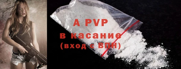 соль ск Каменногорск