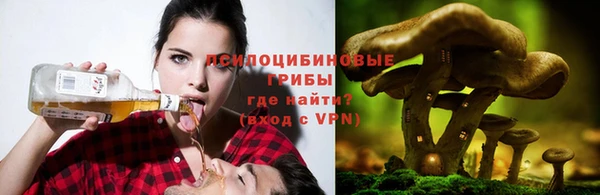 дурь Каменск-Шахтинский