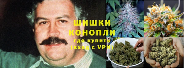 дурь Каменск-Шахтинский