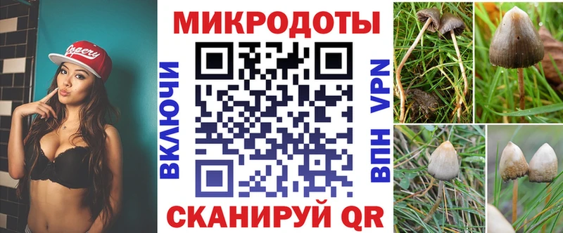 Галлюциногенные грибы Psilocybine cubensis Купить закладки Лесозаводск